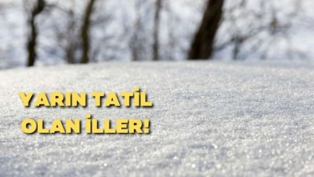 Yarın hangi şehirlerde kar tatili olacak?