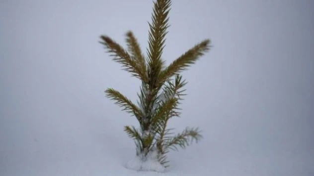 Yoğun kardan üniversite tatil edildi