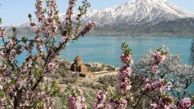 Akdamar Adası çiçeklendi, görenler büyülendi