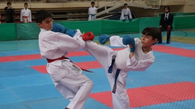 Anadolu Yıldızlar Ligi'nde karate grup müsabakaları Erzincan'da başladı