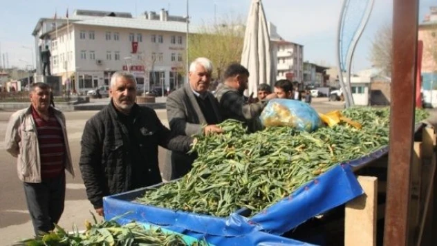 Dağların şifası vatandaşın geçim kaynağı oldu