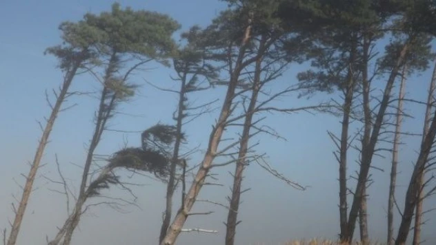 Doğu Anadolu için kuvvetli rüzgar ve fırtına uyarısı!