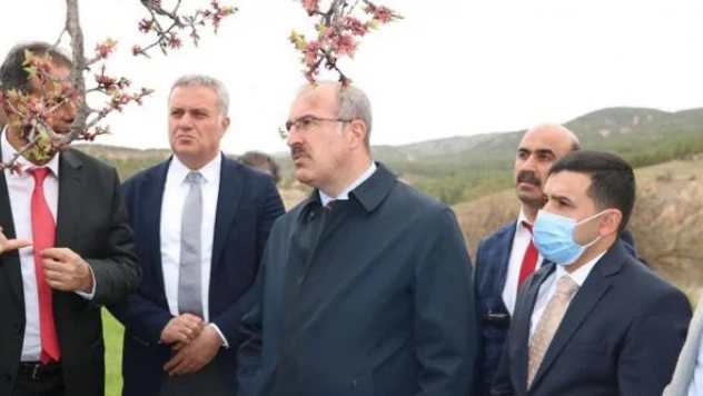 Elazığ Valisi Toraman, kayısı bahçelerini inceledi