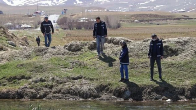 İnci kefalini korumak için tim kuruldu