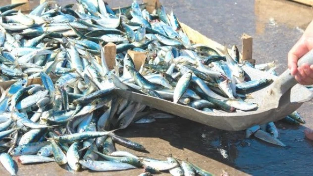 Kaçak avcılara 17 bin 823 Lira ceza