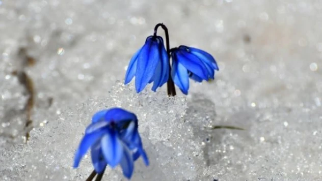 Kars 'ın ilkbaharı büyüledi