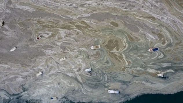 Meclis'ten müsilaj sorunu için 157  maddelik çözüm önerisi !