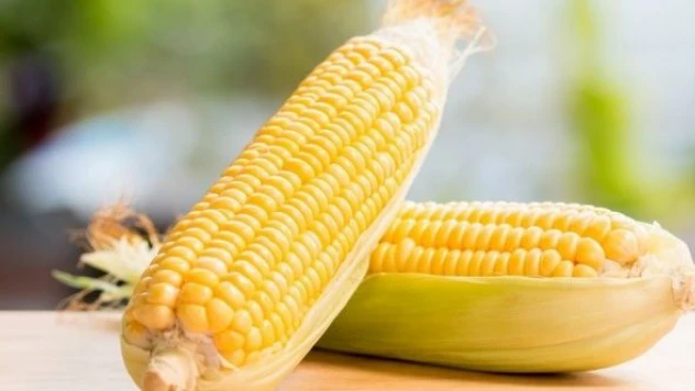 Mısır yemeyi unutun!