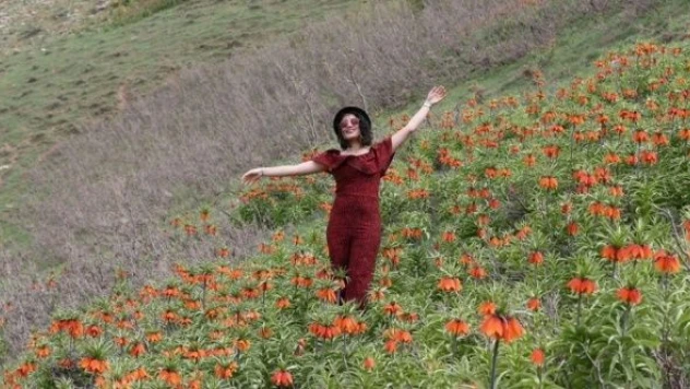 Muş Ovası'nın ağlayan gelini görenleri büyüledi