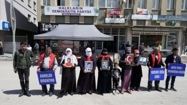 Muş'ta evlat nöbeti tutan aile sayısı 34'e yükseldi