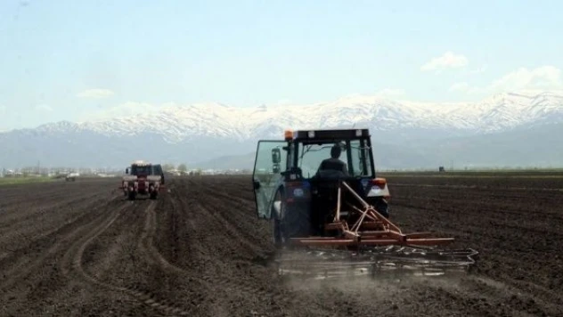 Muş'ta silajlık mısır dönemi başladı!