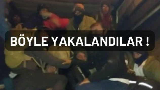 Van'da kamyon kasasında balık istifi göçmen operasyonu!