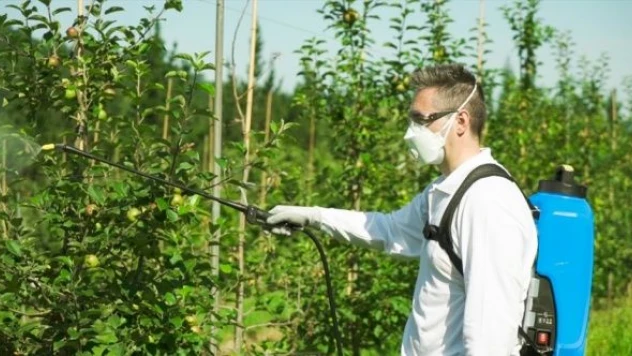 Van Tarım ve Orman Müdürü Görentaş'tan 'budama' uyarısı!