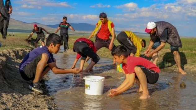 3 ton inci kefali kovalarla taşındı, ölümden kurtarıldı