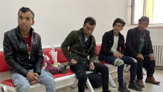 Ardahan'da düzensiz göçmen operasyonu!