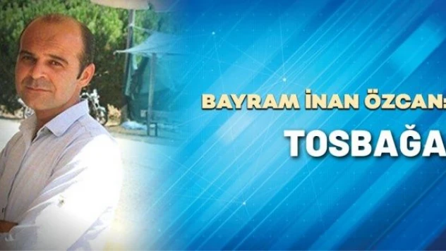 B. İnan Özcan yazdı: &quotTosbağa&quot