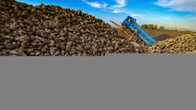 Bakan Kirişci'den pancar üreticisi çiftçiye nakdi avans müjdesi