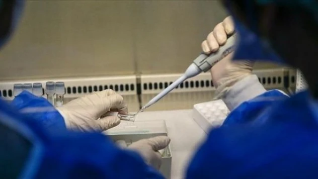 Felaket geliyorum diyor: maymun çiçeği giderek yayılıyor