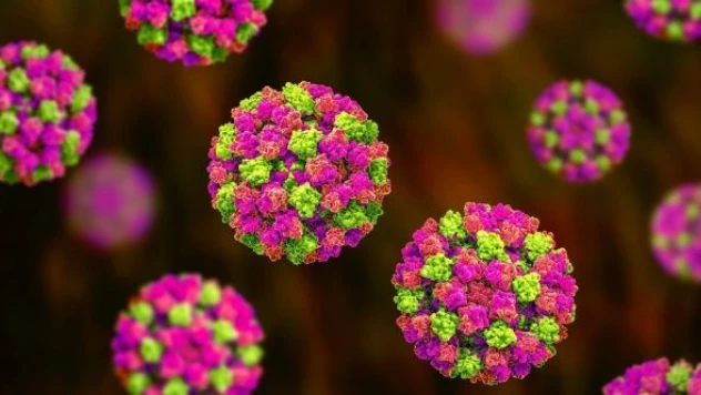 DSÖ: &quotGizemli hepatit belirtisi olanlar uygulasın&quot