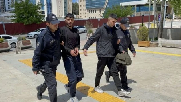 Elazığ'da hırsızlık zanlıları gözaltına alındı