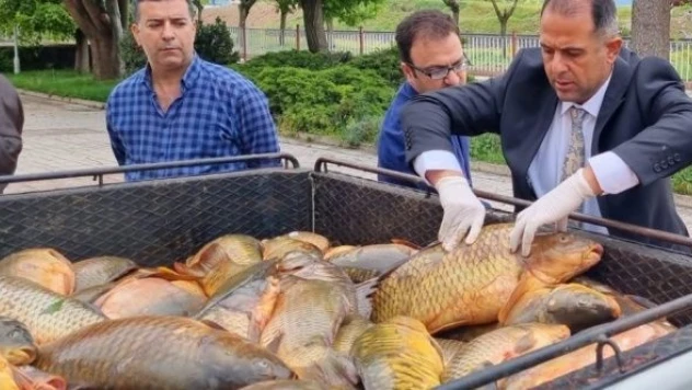 Elazığ'da kaçak balık avcılığı operasyonu!