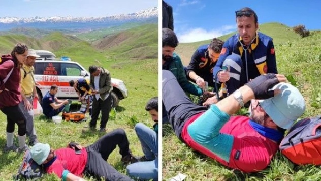 Hakkari'de doğa yürüyüşü yapan vatandaşa yılan saldırdı