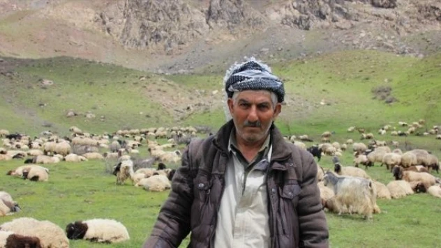 Yaylada mahsur kalan göçerler kurtarıldı
