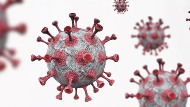 Maymun çiçeği hızla yayılıyor