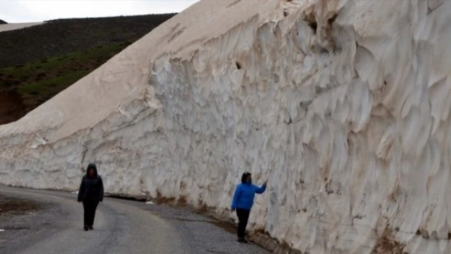 Fotoğraf tutkunları Muş'a hayran kaldı
