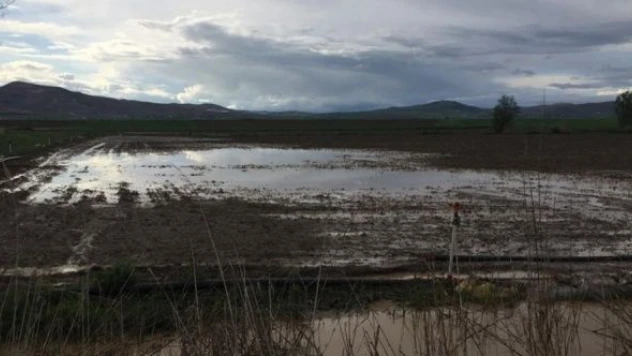 Palu'da sağanak ve dolu ekili alanları vurdu!