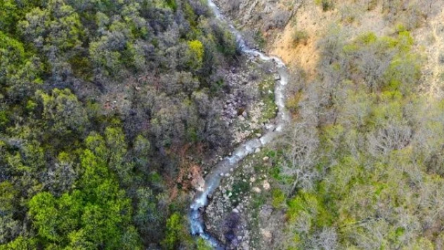 Salördek Ormanları doğa tutkunlarının gözdesi haline geldi!