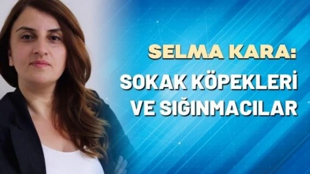 Selma Kara yazdı: 'Sokak köpekleri ve sığınmacılar'