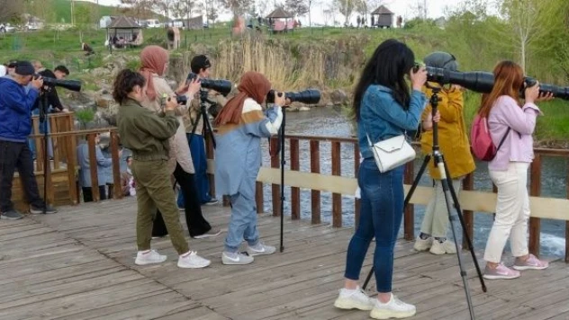 Van'da 'inci kefalinin göçü' konulu fotoğraf yarışması başladı