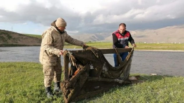 Van'da kaçak inci kefali avlayanlara rekor ceza!