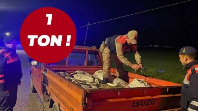 Van'da kaçak inci kefali operasyonu!