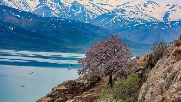 Van Gölü'nün dört adası ziyaretçi akınına uğruyor!