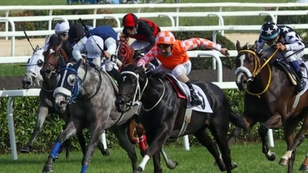 96'ncı Gazi Koşusunda yarışacak atlar ve jokeyleri