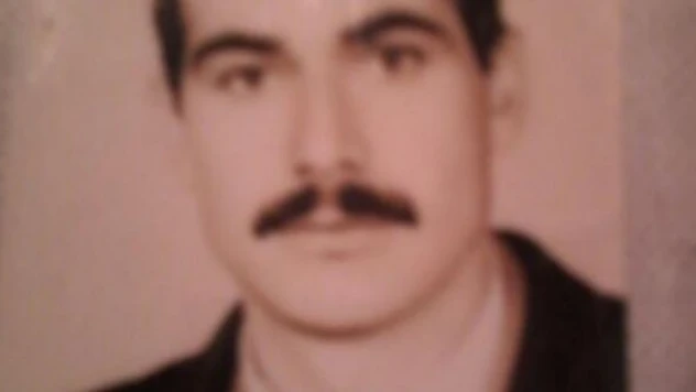 Bingöl'de arı saldırısı can aldı!