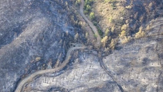 Marmaris'teki orman yangınının şüphelisi, adliyeye sevk edildi