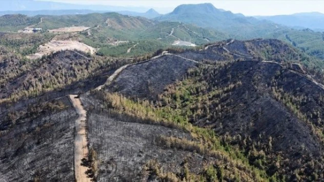 Marmaris'te yanan orman alanı havadan görüntülendi