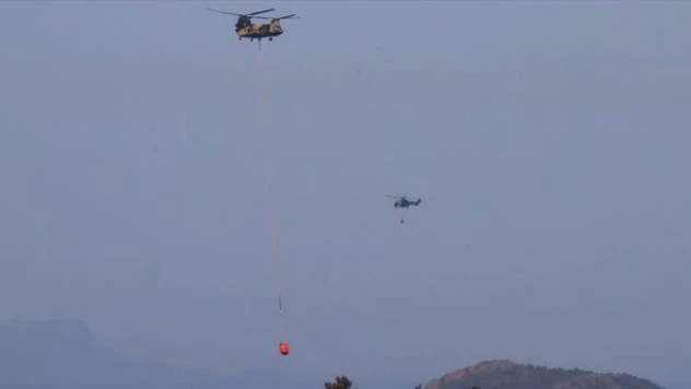 Marmaris'teki yangının faili yakalandı