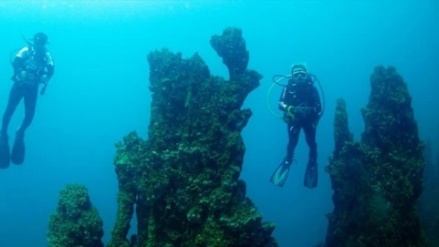Van Gölü'ndeki mikrobiyalitler görüntülendi