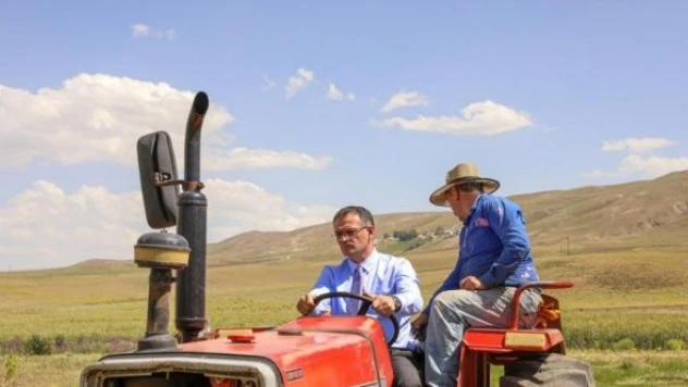 Van Valisi Balcı traktörle ot biçti