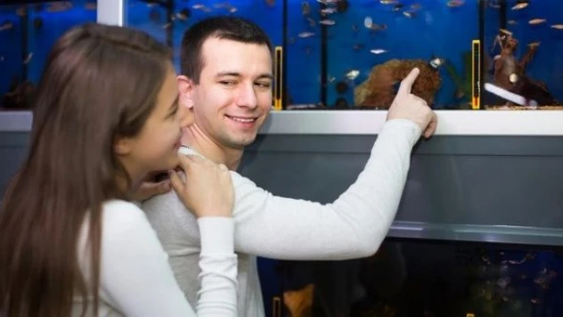 Vitrinde hayvan satışına yasak geliyor!