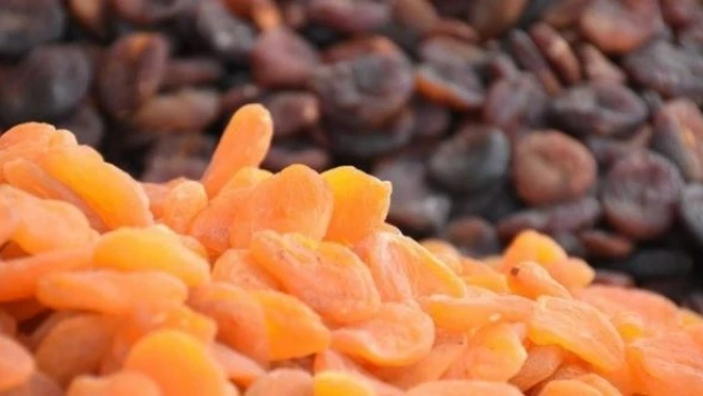 1 kilo Malatya kayısısı kaç gram altın yapıyor?