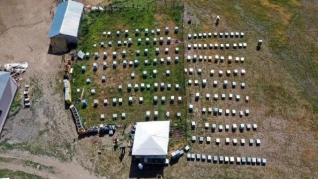 Ağrı'da üreticiler bal sezonundan umutlu