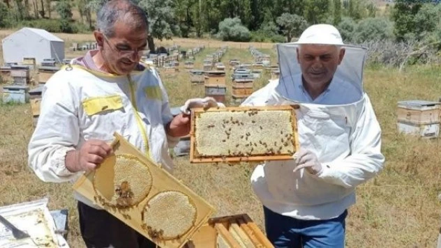 Binali Yıldırım Erzincan'da bal hasadı yaptı