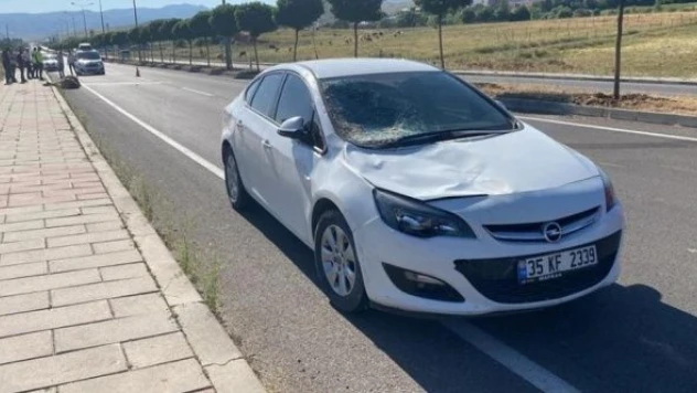 Bingöl'de iki araç ineklere çarptı!