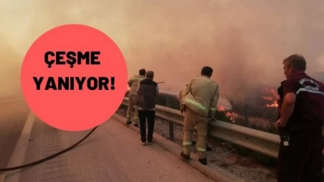 Çeşme'de orman yangını:  7 gözaltı