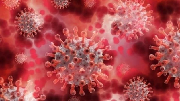 DSÖ : &quotRisk grubundaki erkekler cinsel partnerleri azaltılmalı&quot